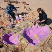 Wissenschaftler finden Tausende Dinospuren