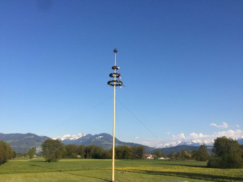 Auch heuer wird in Meiningen um den Maibaum zwei Tage lang gefeiert, zum vierten Mal in Folge.
              foto: veranstalter