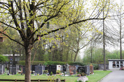 Derzeit sind alle Nistkästen auch bewohnt. Foto: stadt
