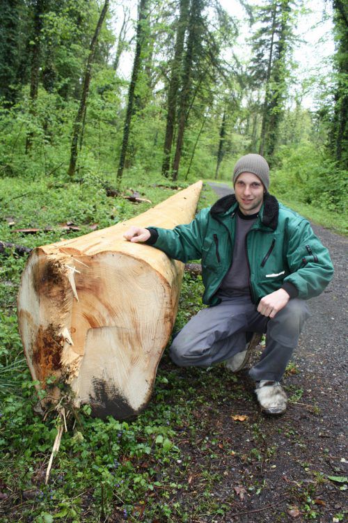 Die Meininger Waldhexen mit Obmann Mathias Trappolin werden heute den Maibaum aufstellen. Foto: doh