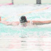 Schwimmer feierten 15 Rekorde