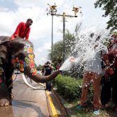Neujahrsfest in Thailand: Elefanten duschen Spaziergänger