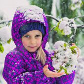 Der Schnee schmückt die Kirschblüten von Fraxern