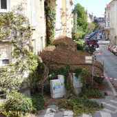 Efeu löst sich von Hauswand