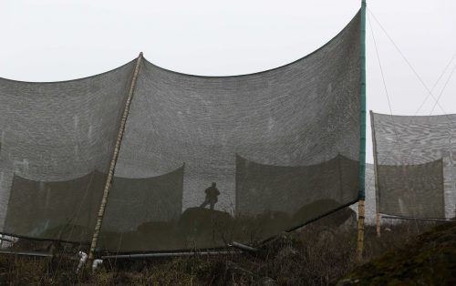 Mit den Netzen wird der Nebel aufgefangen. Von den Netzen tropft das Wasser in offene Halbrohre und fließt dann in große Behälter. Reuters