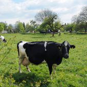 Fußach: Widmung für neuen Nahversorger