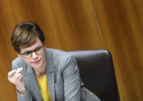 Rendi-Wagner: Gesetz soll vor dem Sommer beschlossen werden. APA