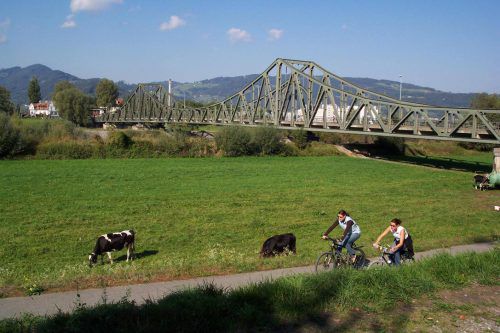 Unerfreulicher Zwischenfall auf dem Radweg nahe dem Grenzübergang Lustenau–Widnau. Foto: VN