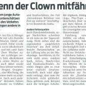 Fahren mit Hausverstand