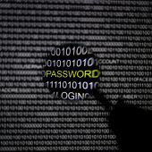Großeinsatz gegen die Verbrechen im Internet