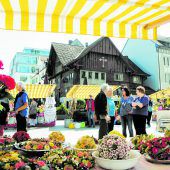 Dornbirner Zentrum erblüht