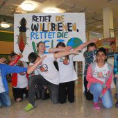 Mittelschüler wollen Wildbienen helfen