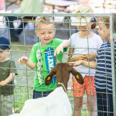Tierausstellung in Höchst lockte 5000 Besucher