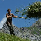 Lechzen nach Sommerregen