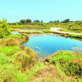 S’Albufera des Grau