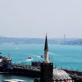 Plankton färbt Bosporus ein