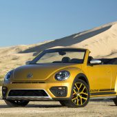 Dünen-Käfer: Umgeben von Sandstorm Yellow
