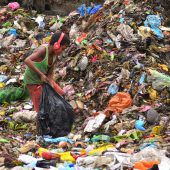 Auf der Suche nach recycelbaren Gegenständen