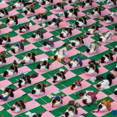 Massen-Yoga in Indien