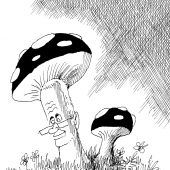 Aussterbende „Pilz“-Sorte!