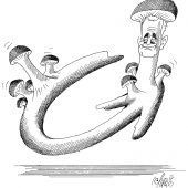 Grüner Pilz-Befall!