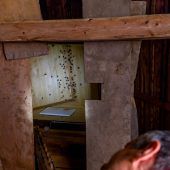 Kirchenasyl für Fledermäuse