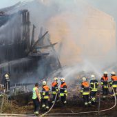Inferno am Bauernhof