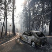 Waldbrände in Portugal fordern Dutzende Tote