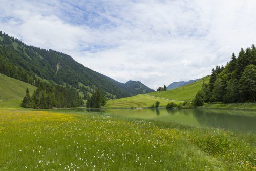 Der Lecknersee steht im Fokus einer Exkursion. Foto: inatura