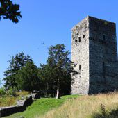 Wieder Vandalismus auf der Tostner Burg