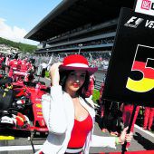 Rüffel am 30. Geburtstag, eine Sperre blieb Vettel erspart