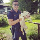 Polizei beschlagnahmt Hundewelpen