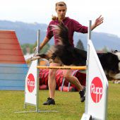 Agility-Cup in Hörbranz