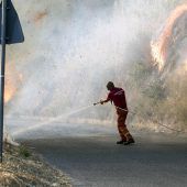 Flucht vor Waldbränden