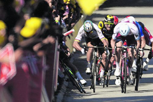 Peter Sagan (2. v. l.) fährt beim Zielsprint den Ellbogen raus, Mark Cavendish (l.) fliegt in die Absperrung. Foto: ap
