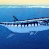 Forscher entdeckten frühesten Raubfisch