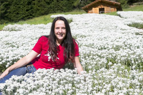 1600 Edelweißstöcke pflanzte Tanja Senn vor drei Jahren.
