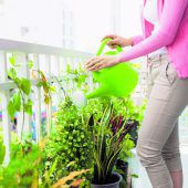 Blumentopf gut befestigen
