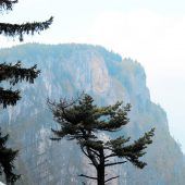 Strenge Wächter für den sensiblen gelben Felsen