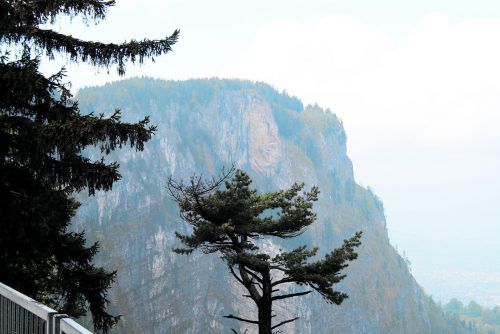 Blick auf den „gelben Felsen“ vom Karren aus. Der Pfeiler ragt 600 Meter über dem Talgrund in die Höhe.  