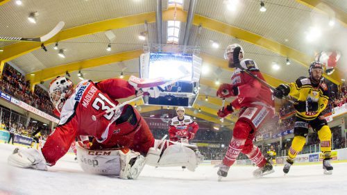 David Madlener stand beim CHL-Auftakt der Rotjacken im Tor und hatte einiges zu tun.  Foto: gepa