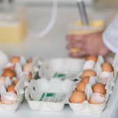 Supermärkte leeren nach Eier-Skandal die Regale