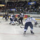 Bulldogs hielten dagegen