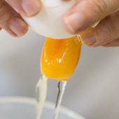 Fipronil-Eier