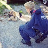 Polizistin auf vier Pfoten