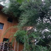 Gewitter führte zu 30 Einsätzen im Rheintal