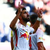 Die Bullen voller Spielfreude