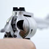 Zahl der Waffen steigt weiter