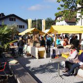 Eingesendet. Vereinsnachrichten aus dem Bezirk