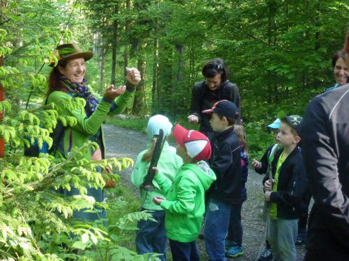 Auch erlebnisreiche Wanderungen werden geboten. Gemeinde Langenegg